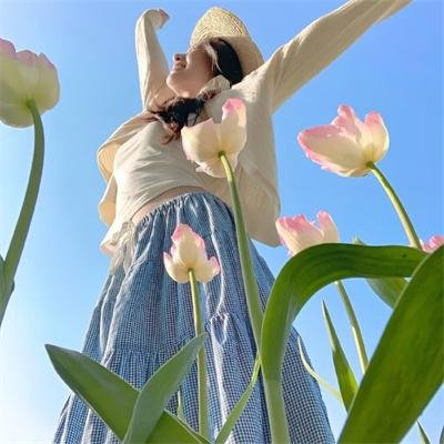 倒凤颠鸾